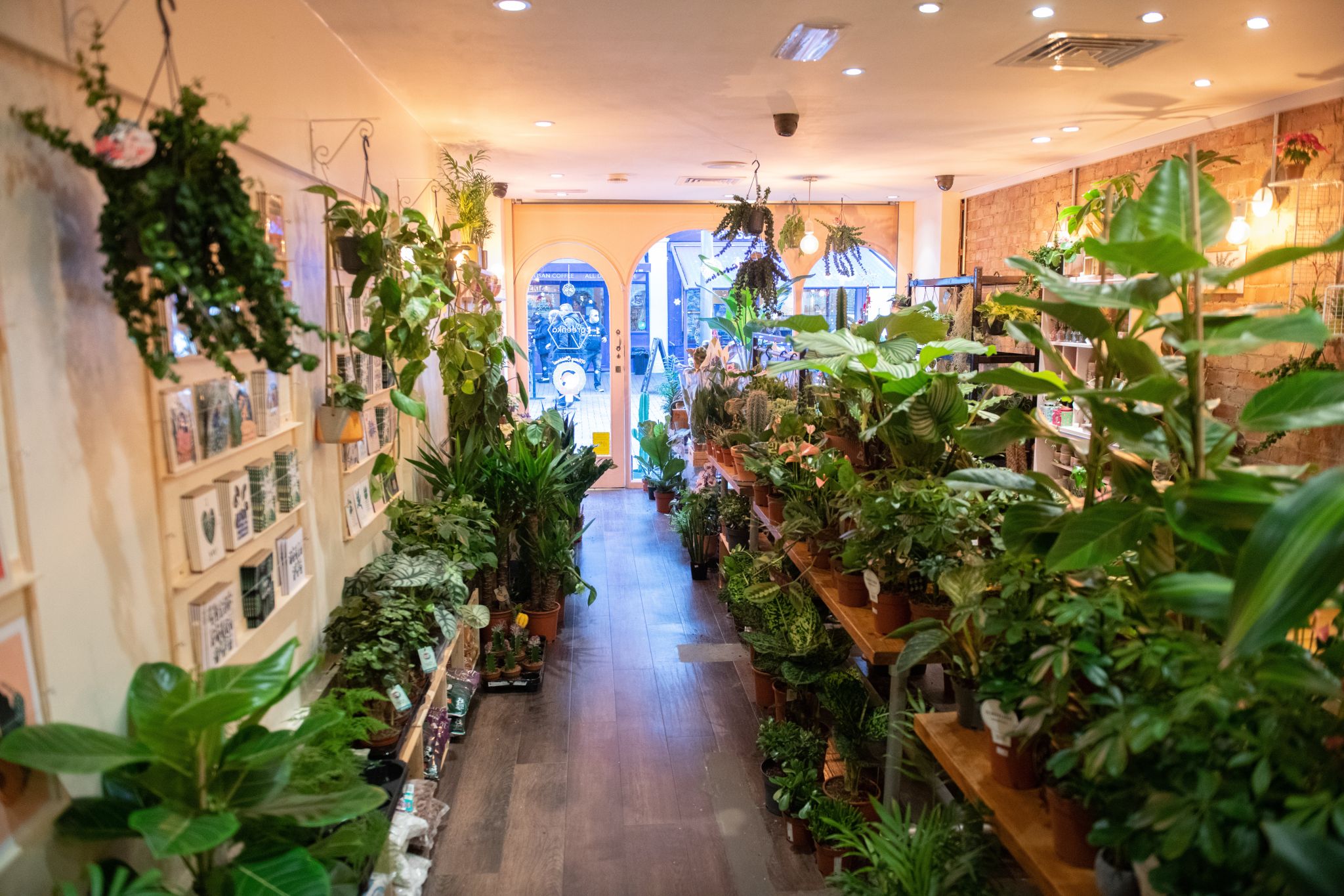 interior of shop with houseplants